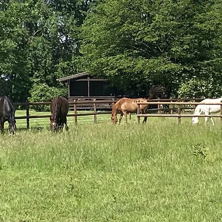 Rueckzugsort Mit Terrasse, * Eschede