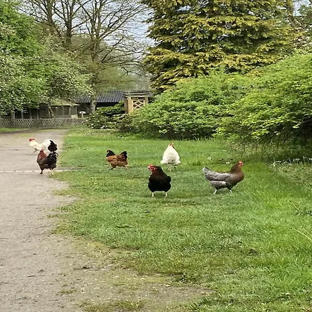 Rueckzugsort Mit Terrasse, Casa de Férias *