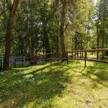 Rueckzugsort Mit Terrasse, * Eschede