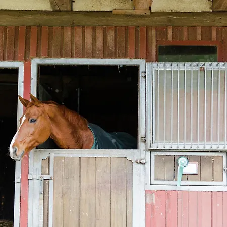 Casa de Férias Rueckzugsort Mit Terrasse,