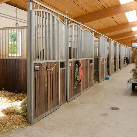 Rueckzugsort Mit Terrasse, * Eschede