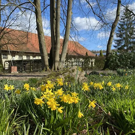 Nyaraló Rueckzugsort Mit Terrasse, Eschede