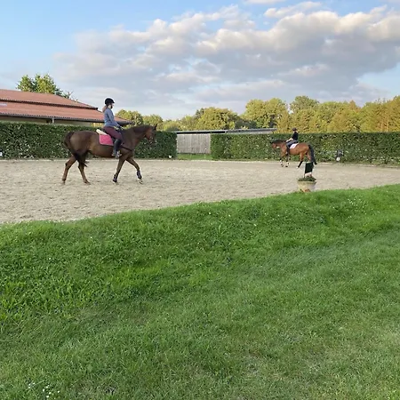 Rueckzugsort Mit Terrasse, Casa de Férias Eschede