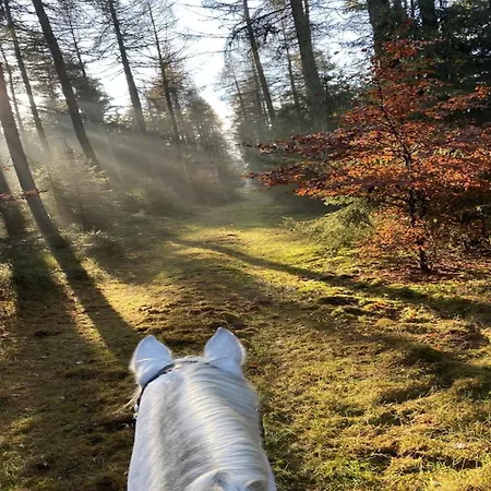 Rueckzugsort Mit Terrasse, Casa de Férias Eschede