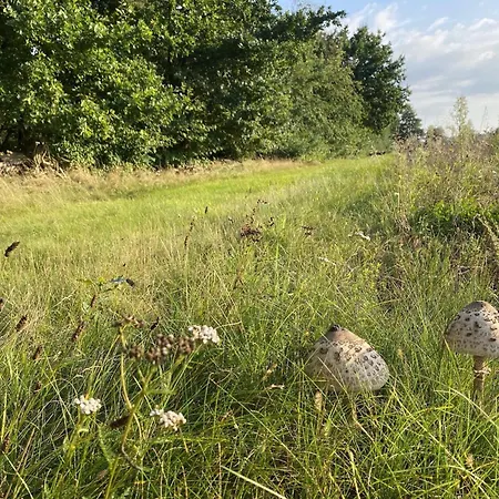 Rueckzugsort Mit Terrasse, *