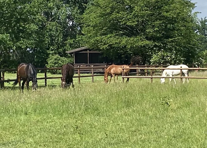 Rueckzugsort Mit Terrasse, * Eschede