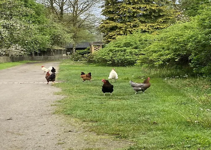 Rueckzugsort Mit Terrasse, Semesterbostad *