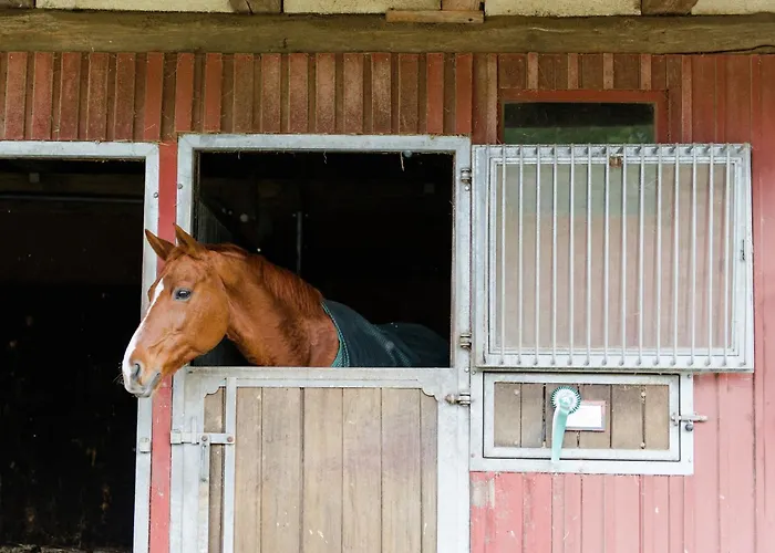Semesterbostad Rueckzugsort Mit Terrasse,