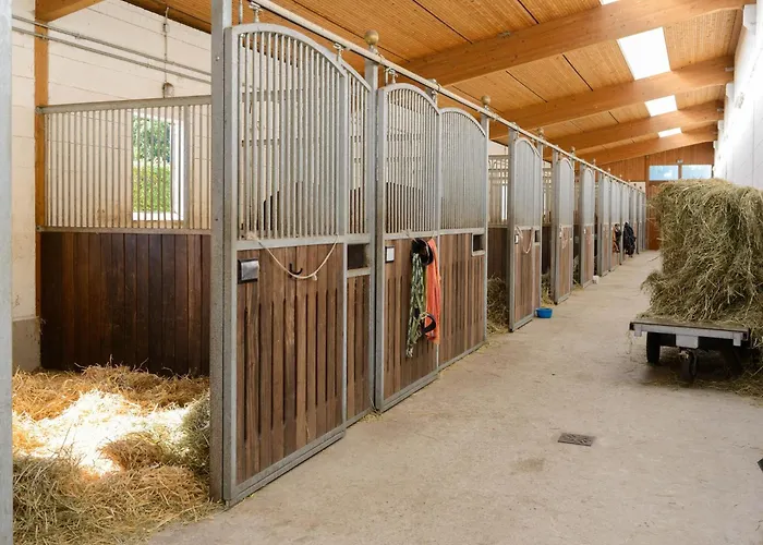 Rueckzugsort Mit Terrasse, * Eschede