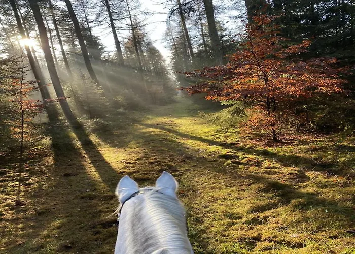 Rueckzugsort Mit Terrasse, Semesterbostad Eschede