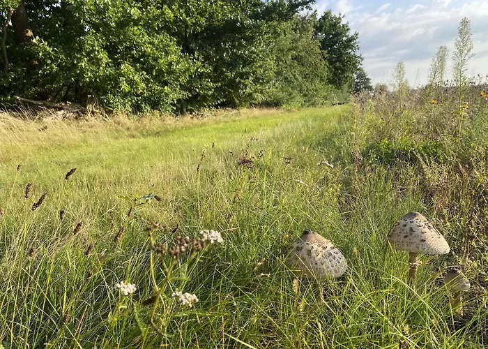 Rueckzugsort Mit Terrasse, *
