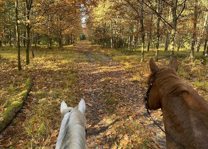 Rueckzugsort Mit Terrasse, Eschede